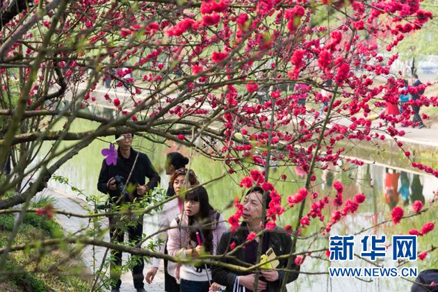 新华网三峡大学桃花节大秀国际范儿 文化交流为一带一路助力
